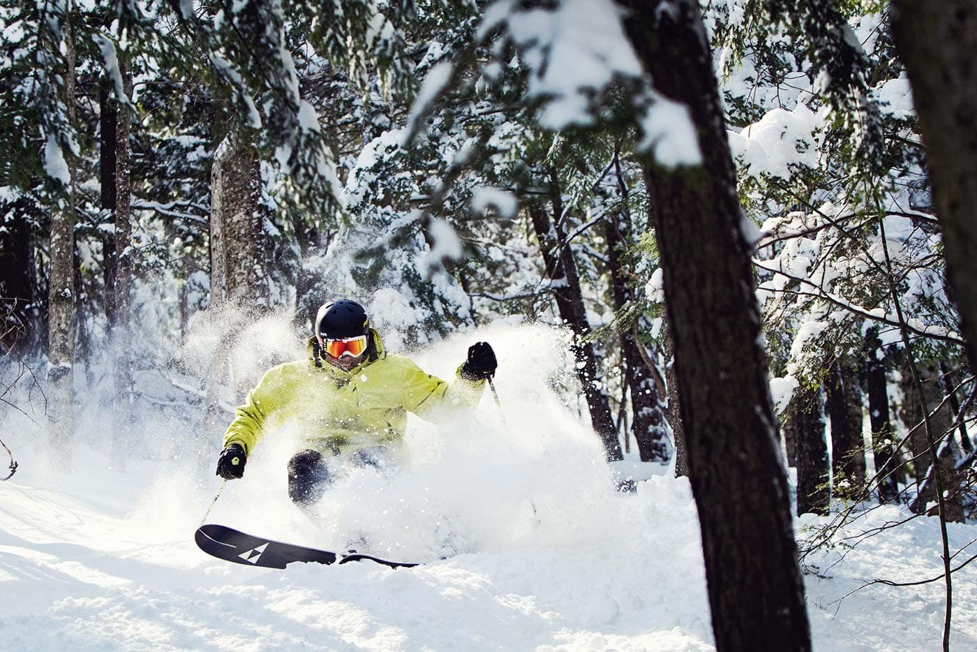 Aggressive Skier in the Woods